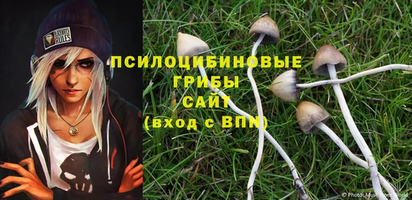 mdpv Алзамай