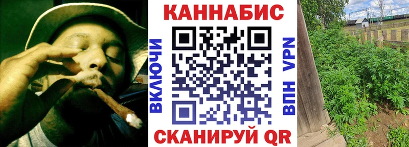 Купить где  Карасук  Шишки марихуана сатива 